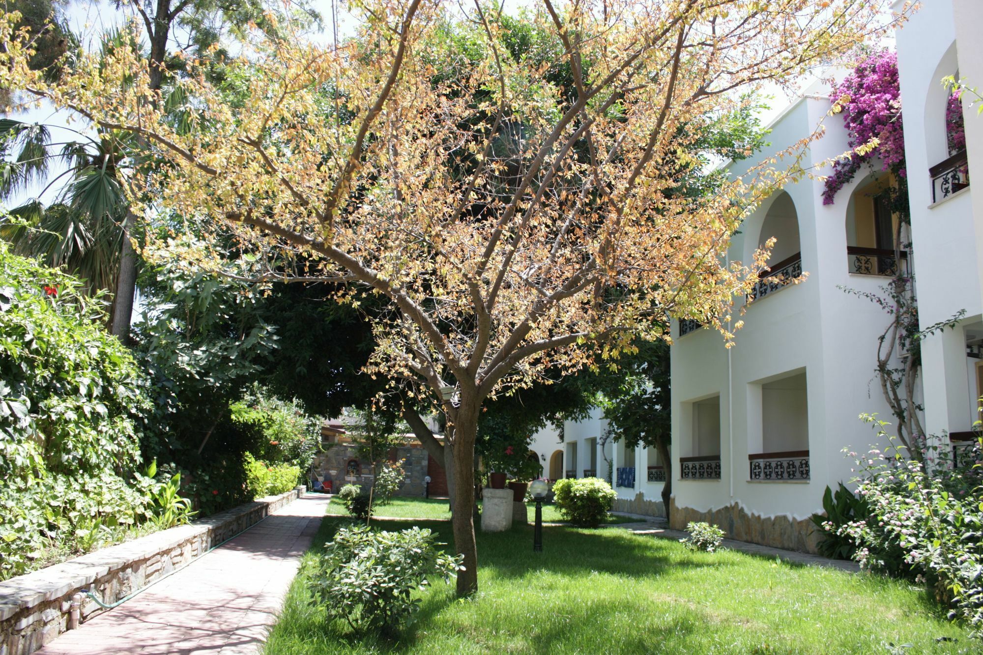 Toloman Hotel Bitez Beach Екстер'єр фото